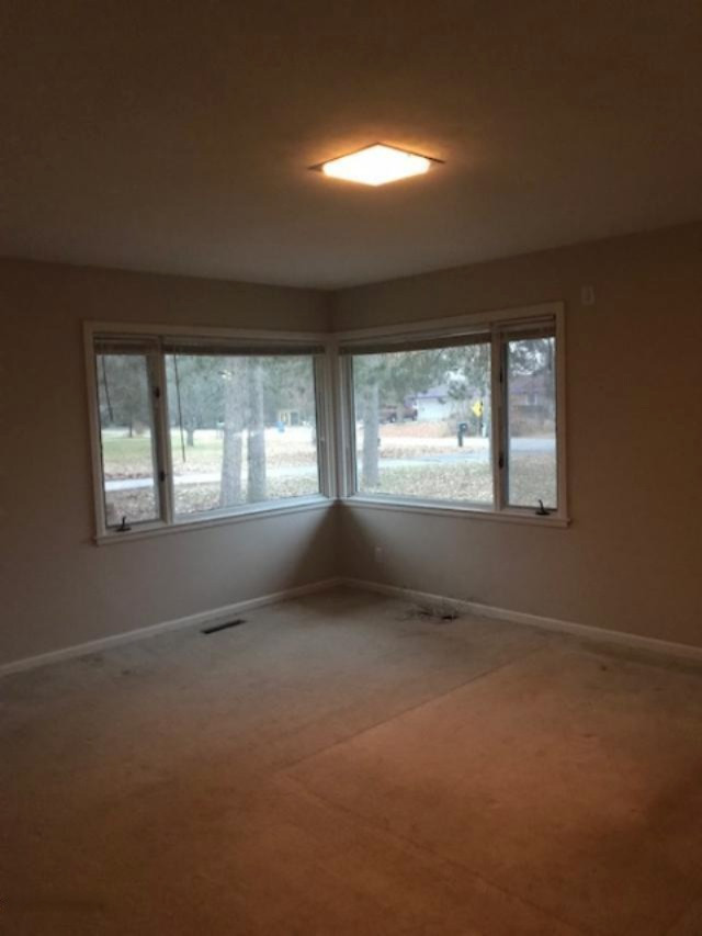 3104 Springbrook Drive Kalamazoo, MI 49004 - Photo 15 of 16 spring12