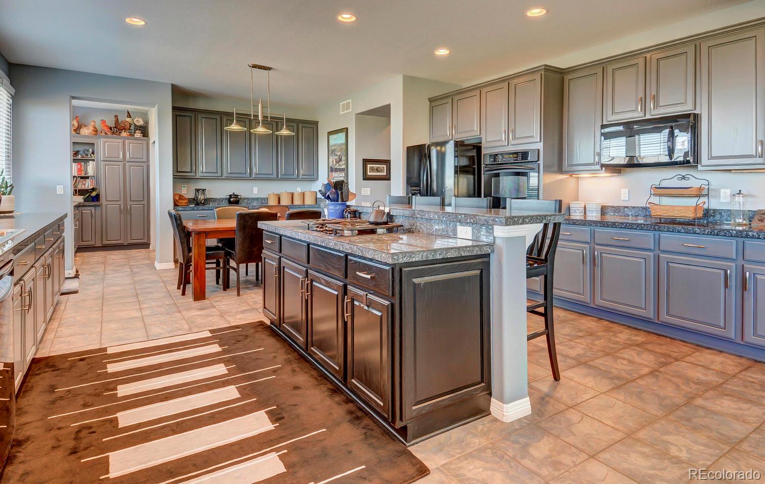 3861 Fairbrook Point Highlands Ranch, CO 80130 - Photo 14 of 35 Gallery Image 14