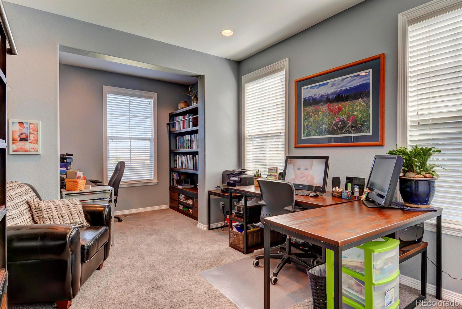 3861 Fairbrook Point Highlands Ranch, CO 80130 - Photo 19 of 35 Gallery Image 19