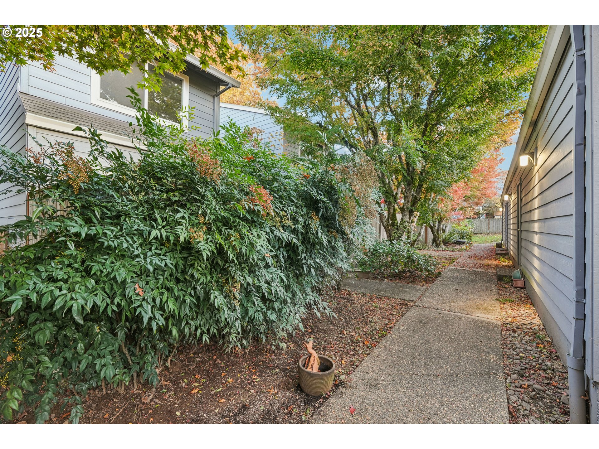 14678 Southwest 106th Avenue Tigard, OR 97224 - Photo 3 of 41 a view of a yard with plants and a bench