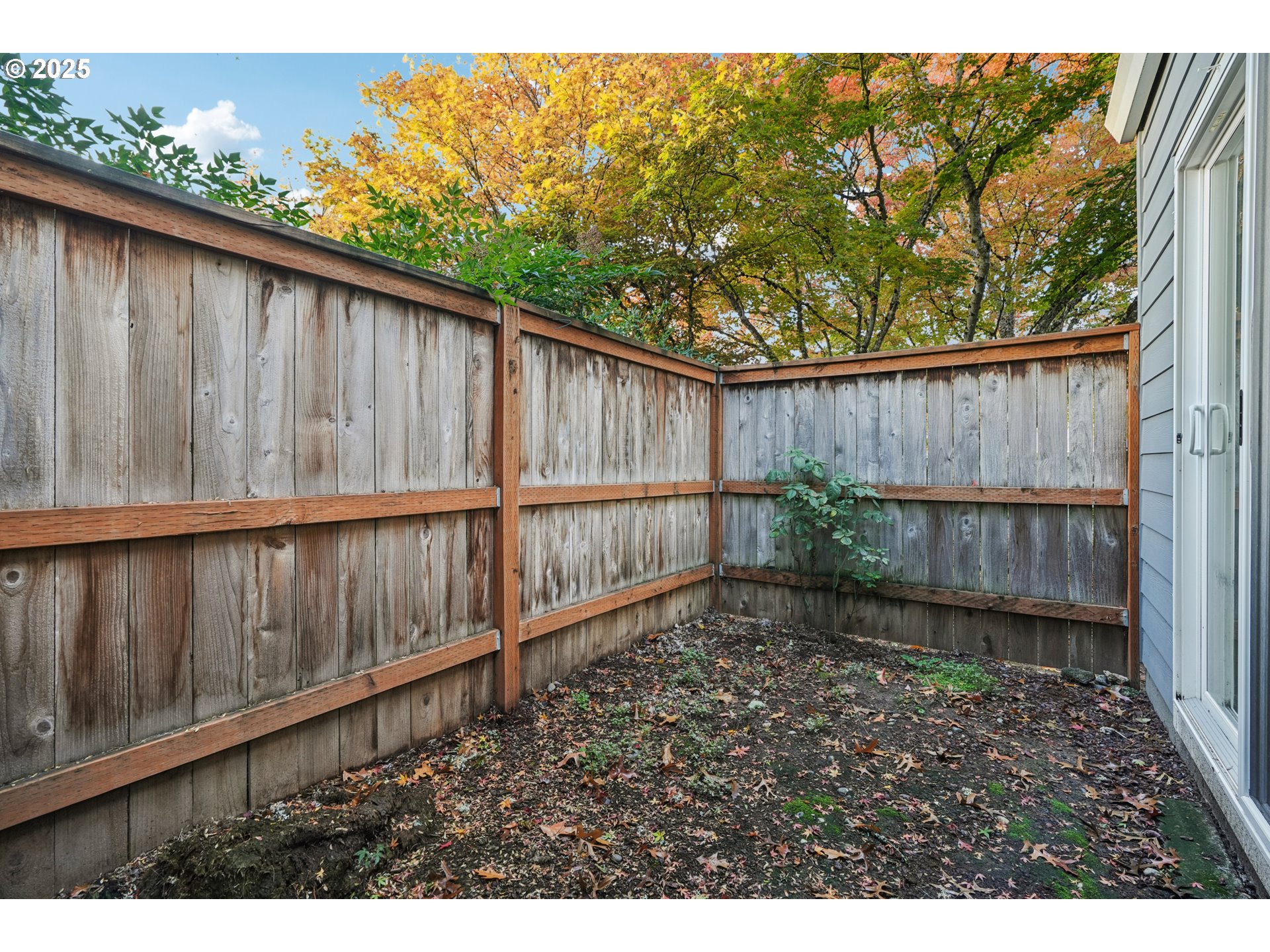 14678 Southwest 106th Avenue Tigard, OR 97224 - Photo 38 of 41 a backyard of a house with lots of green space