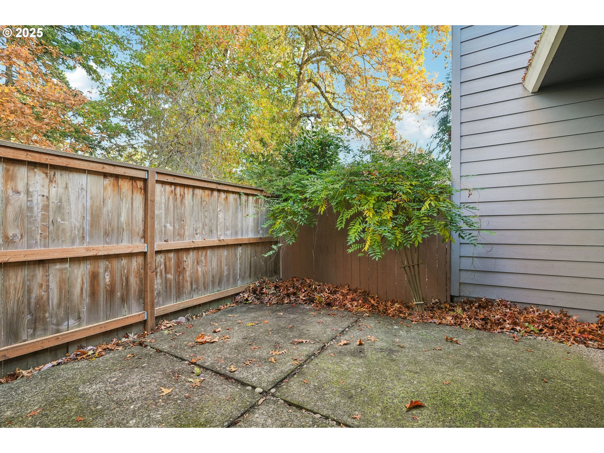 14678 Southwest 106th Avenue Tigard, OR 97224 - Photo 41 of 41 a view of outdoor space and yard