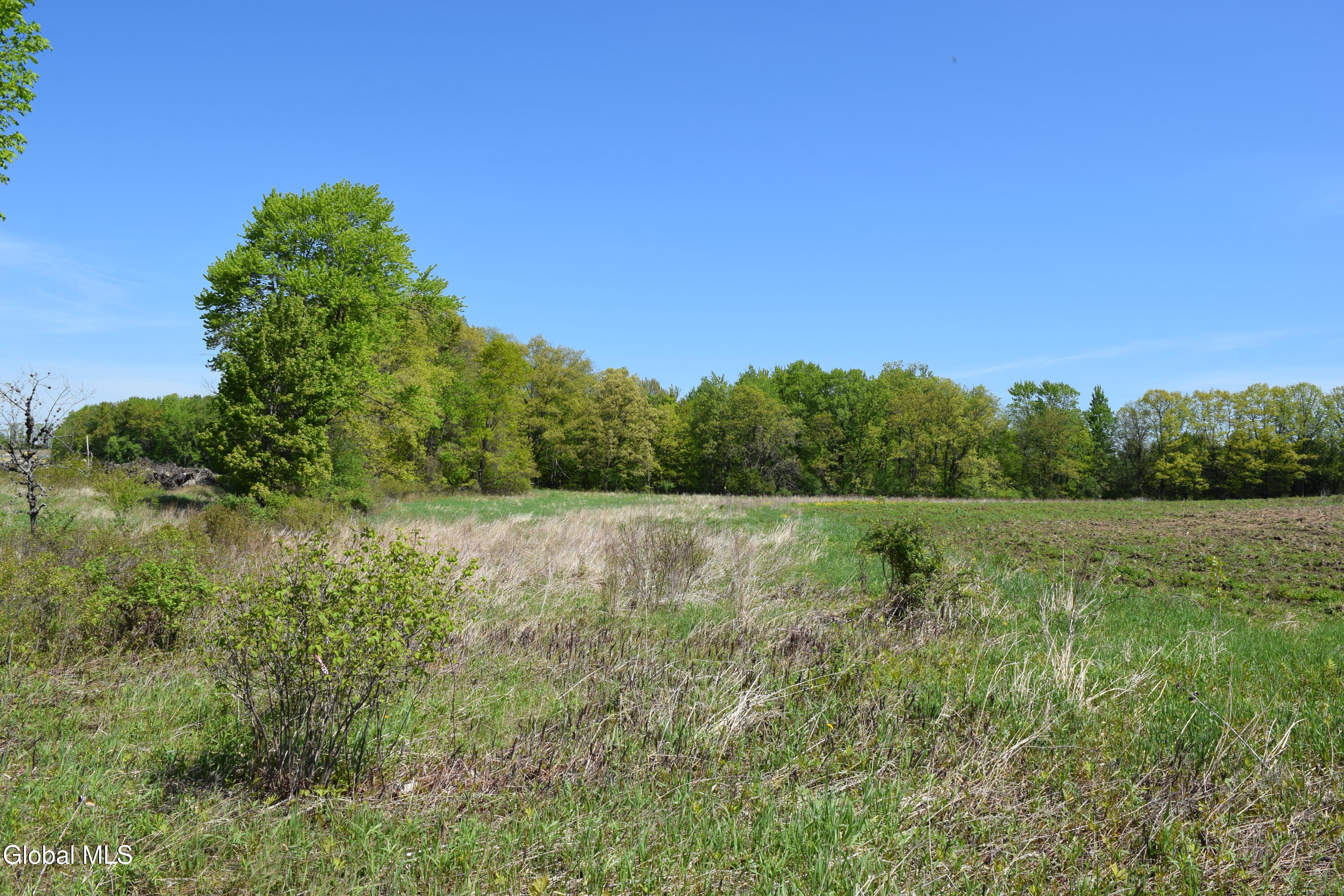 115 Farm To Market Road Halfmoon, NY 12118 - Photo 11 of 22 11
