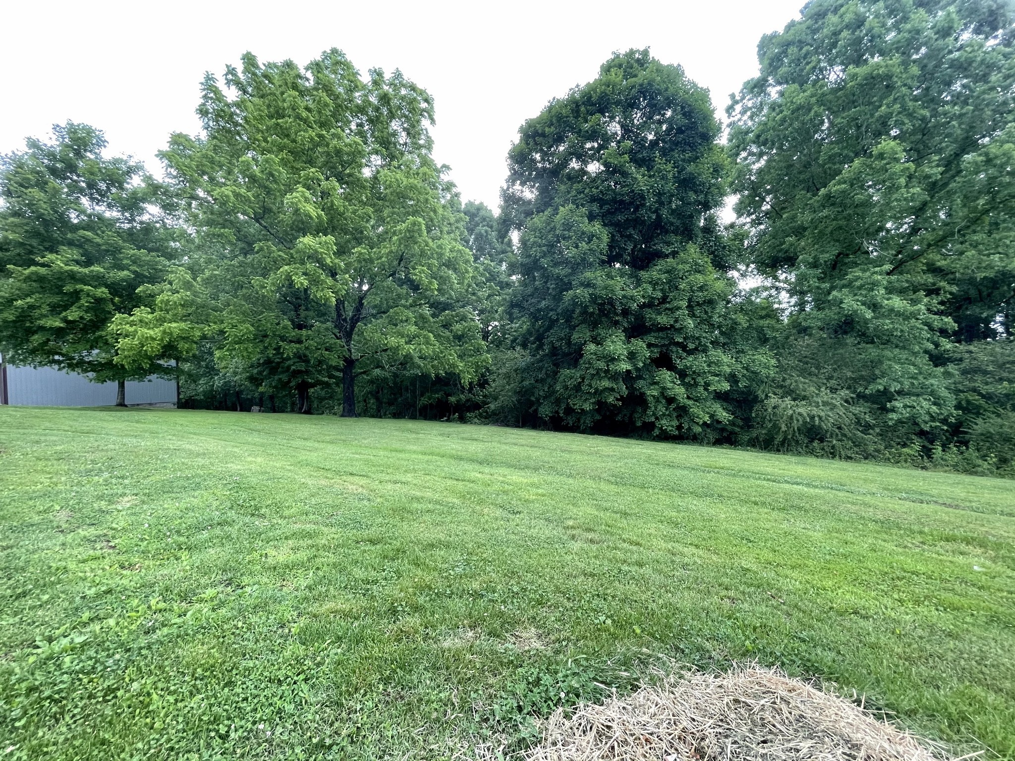 1051 Lewis Road Burns, TN 37029 - Photo 13 of 17 Gallery Image 13