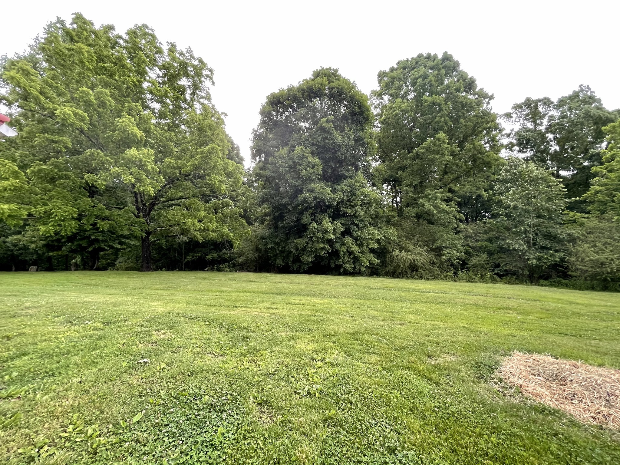 1051 Lewis Road Burns, TN 37029 - Photo 14 of 17 Gallery Image 14