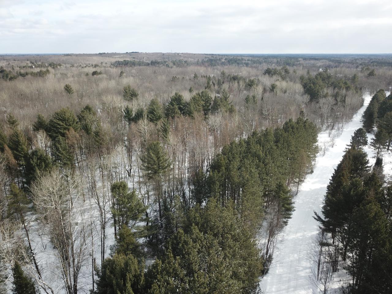 On Colburn Road Rhinelander, WI 54501 - Photo 2 of 20 Gallery Image 2