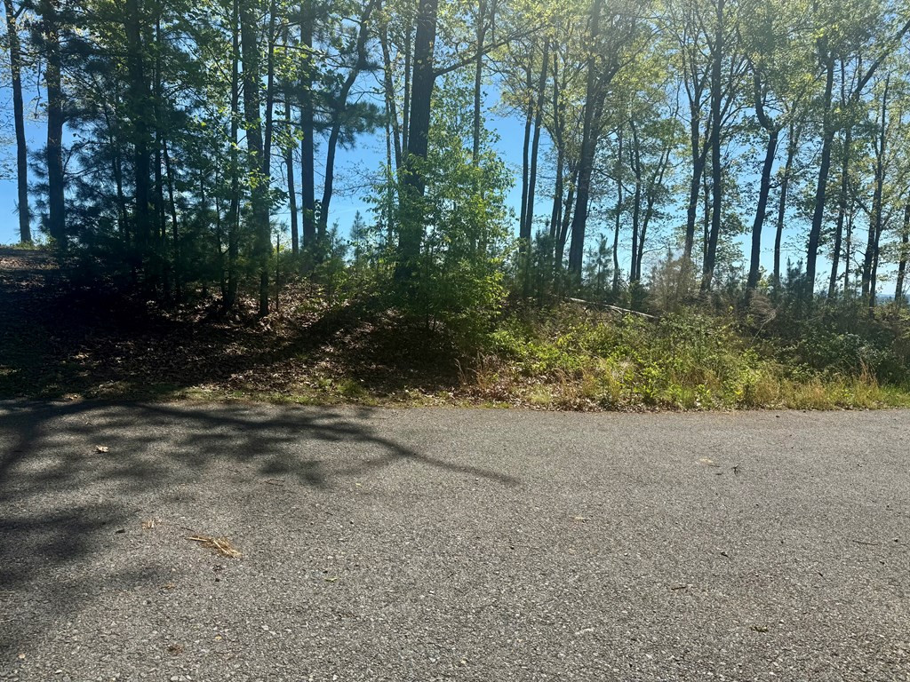 51 Wayah Ridge Murphy, NC 28906 - Photo 5 of 6