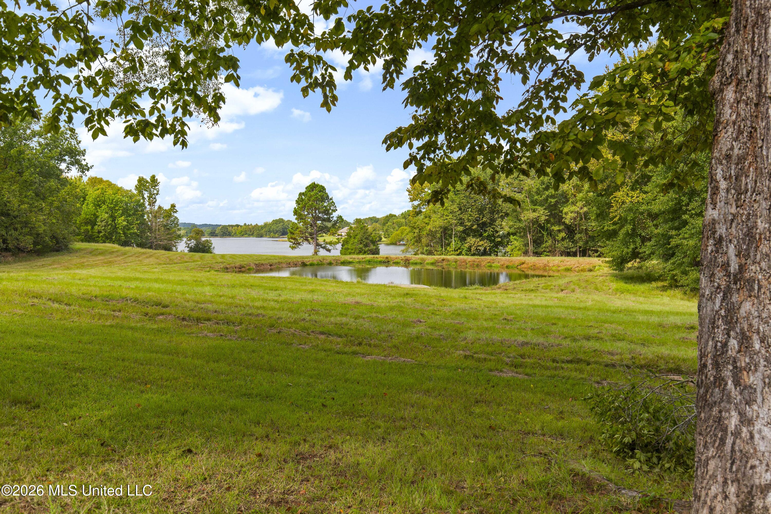 373 Chapel Hill Road Flora, MS 39071 - Photo 43 of 66 373 Chapel Hill-21