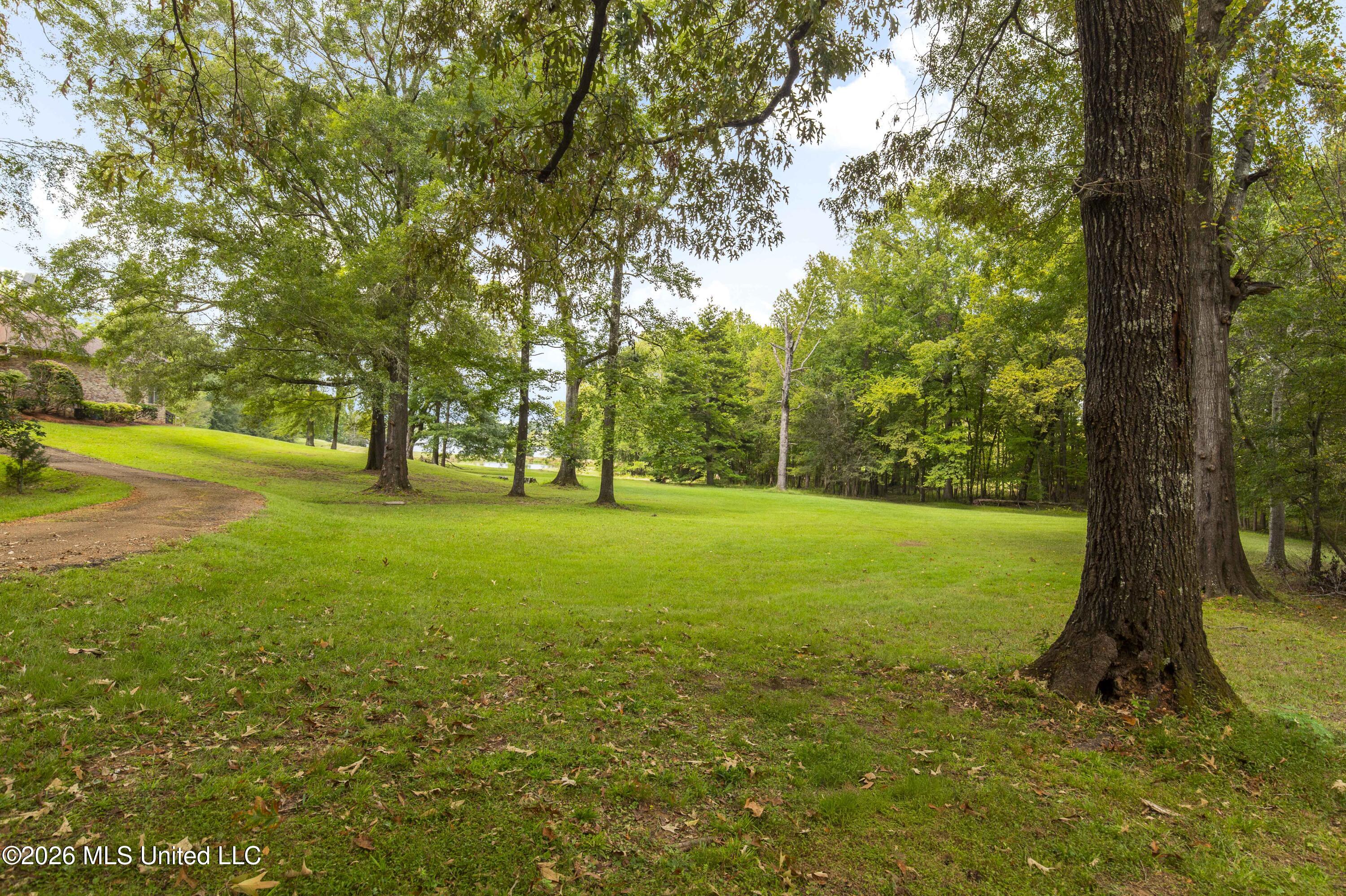 373 Chapel Hill Road Flora, MS 39071 - Photo 45 of 66 373 Chapel Hill-23