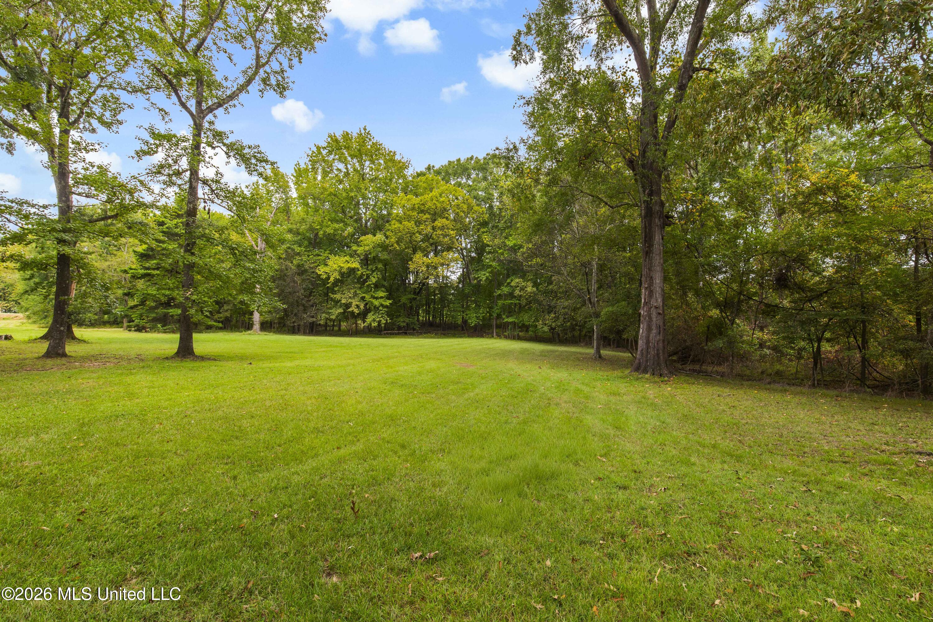 373 Chapel Hill Road Flora, MS 39071 - Photo 46 of 66 373 Chapel Hill-25