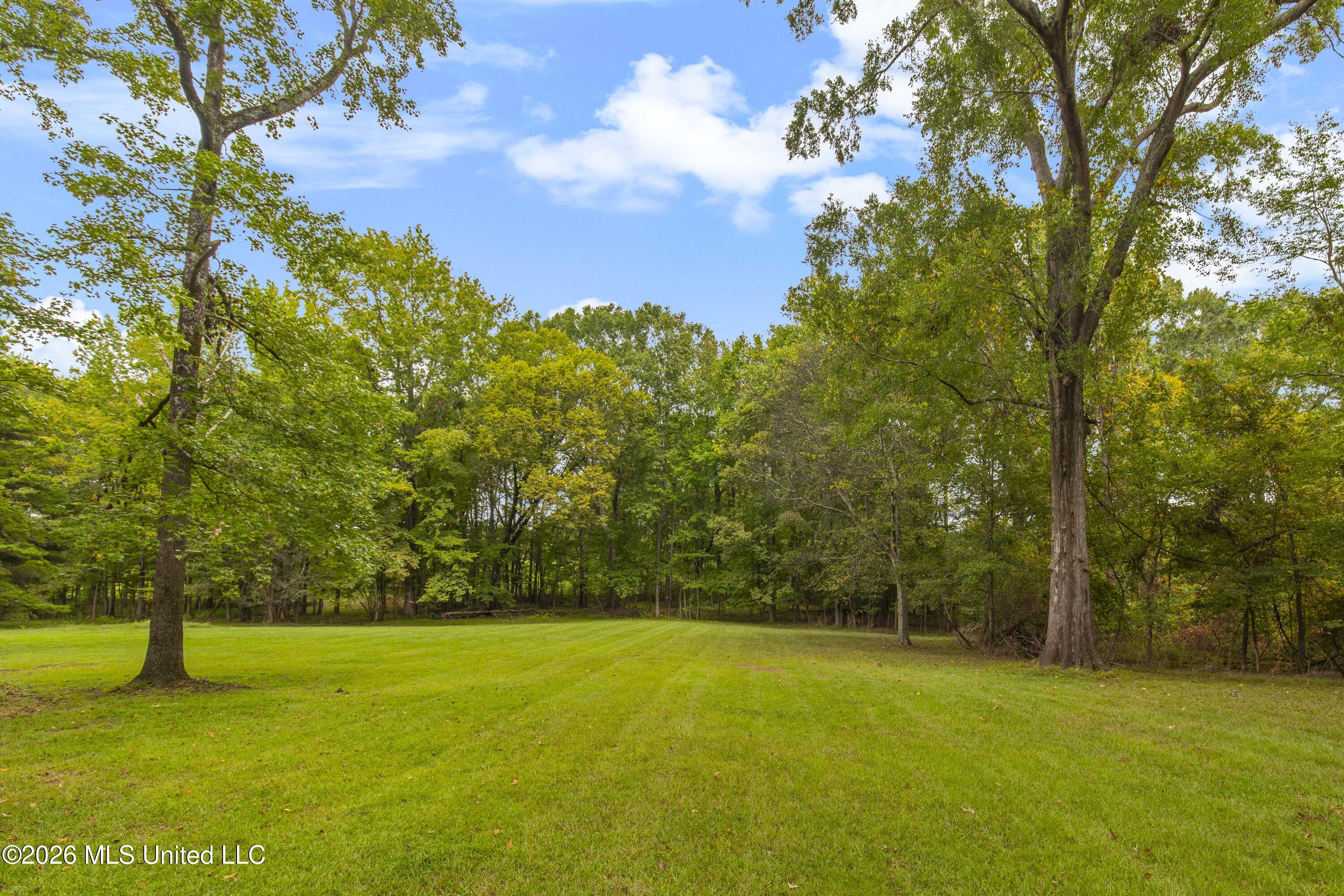 373 Chapel Hill Road Flora, MS 39071 - Photo 47 of 66 373 Chapel Hill-27