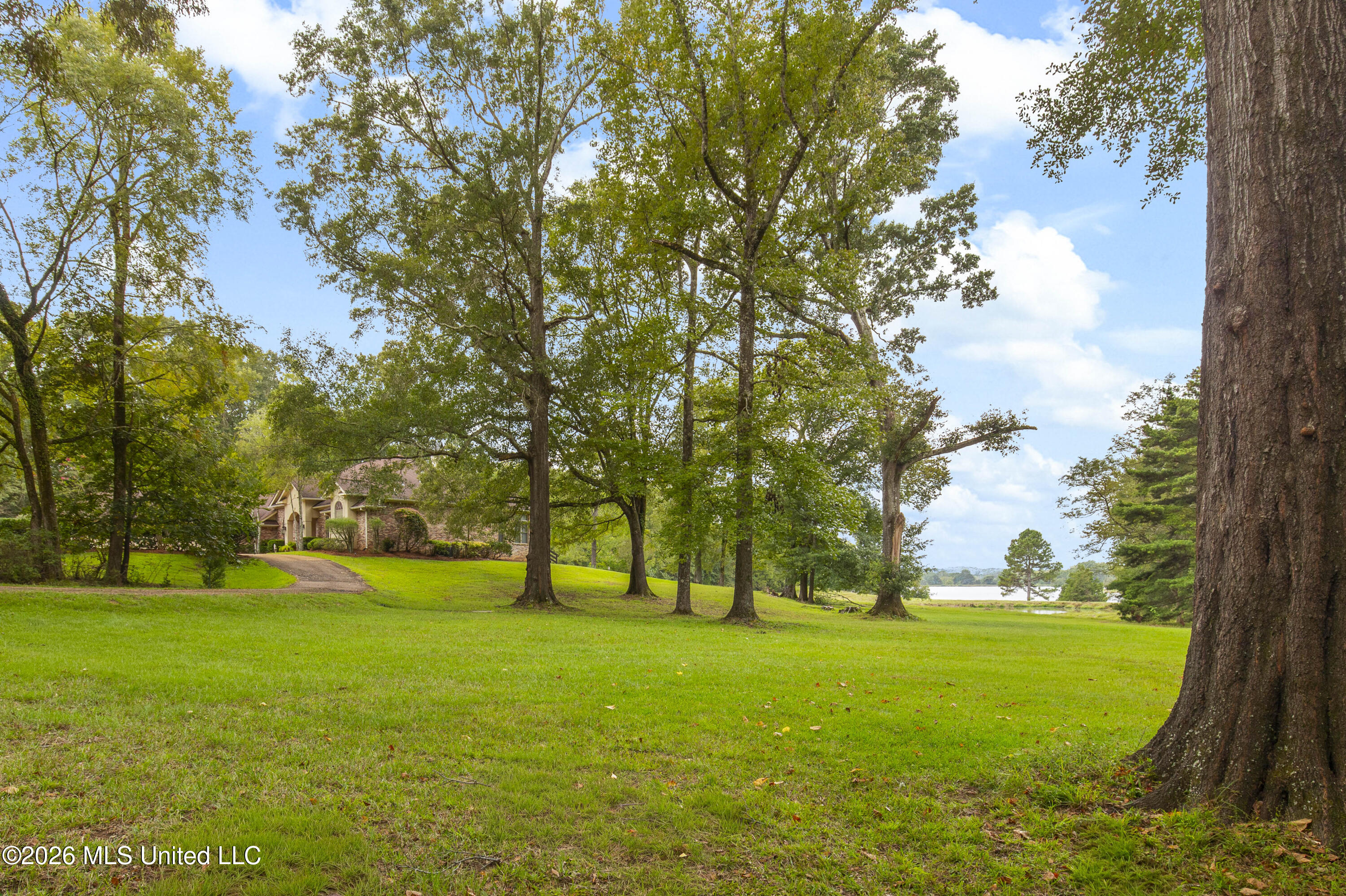 373 Chapel Hill Road Flora, MS 39071 - Photo 49 of 66 373 Chapel Hill-29