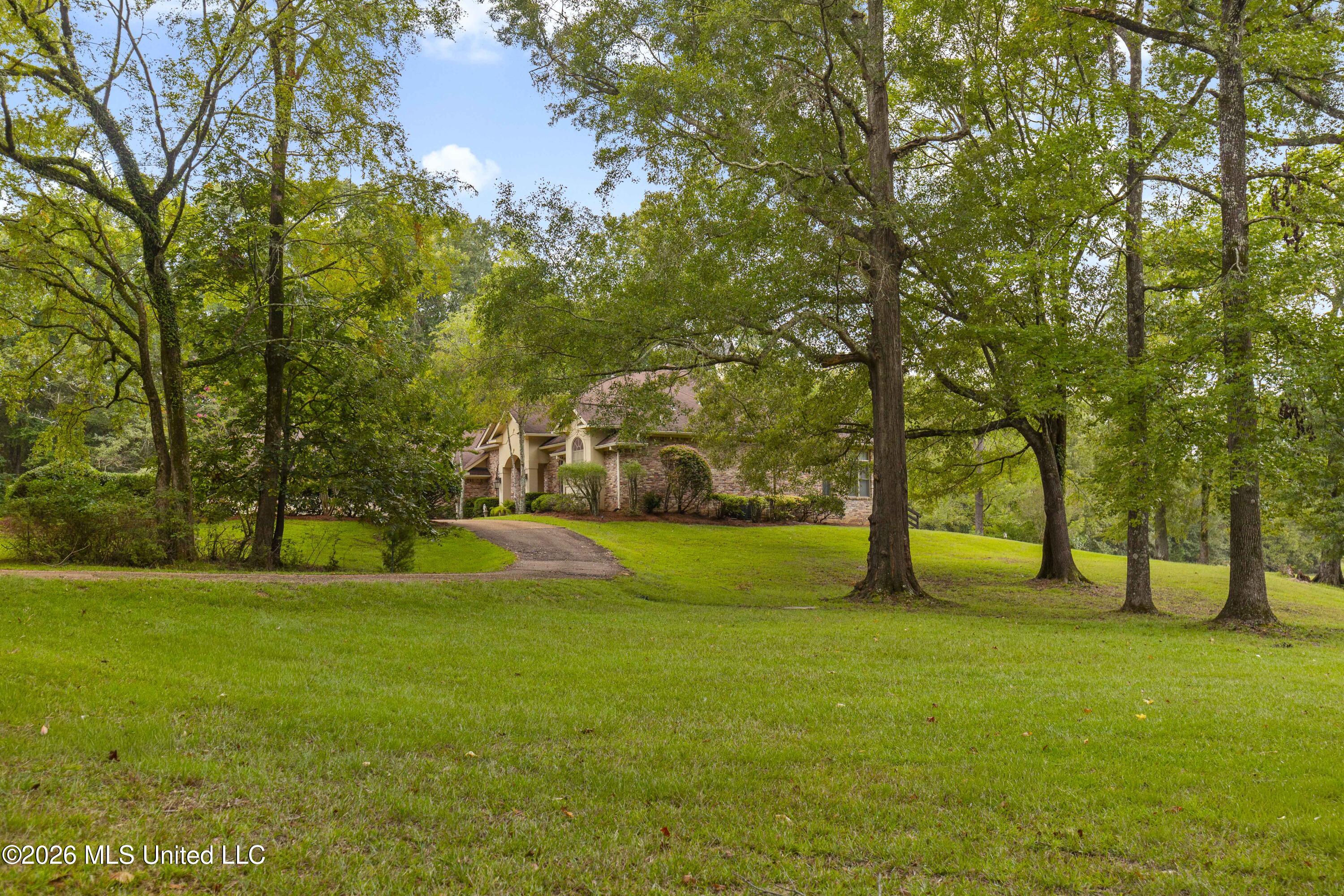 373 Chapel Hill Road Flora, MS 39071 - Photo 50 of 66 373 Chapel Hill-30