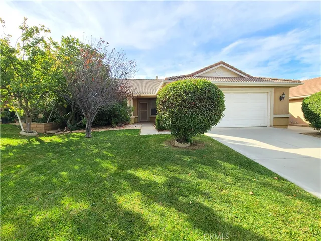a view of a backyard with a garden and plants