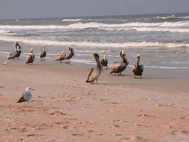 $425,000 | 3501 South Central Avenue, Flagler Beach, FL 32136