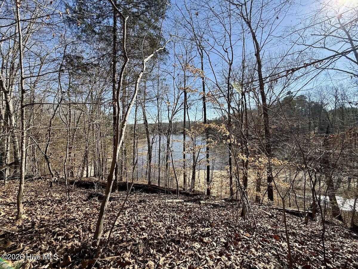 666 Solomon Road Leasburg, NC 27291 - Photo 10 of 49 10
