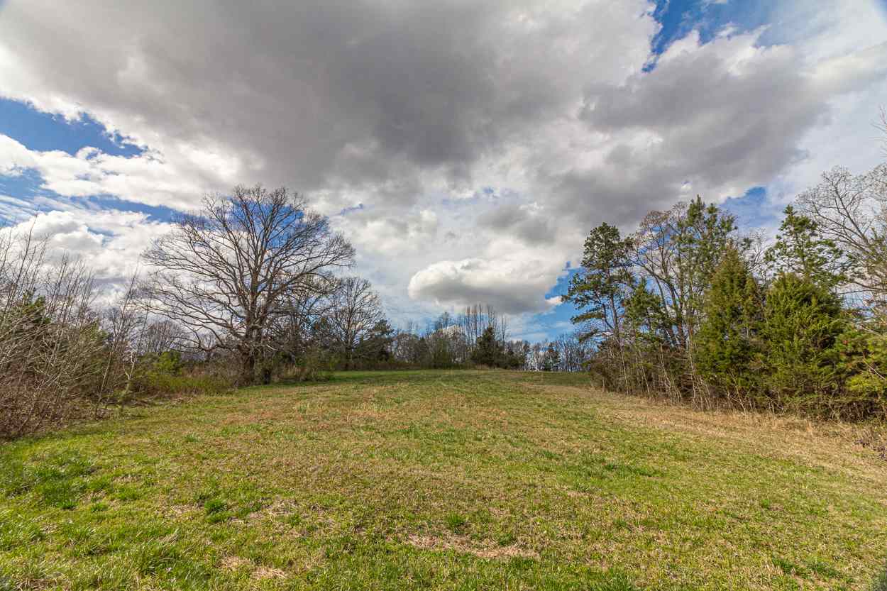 0 Sulphur Springs Road Selmer, TN 38375 - Photo 1 of 16