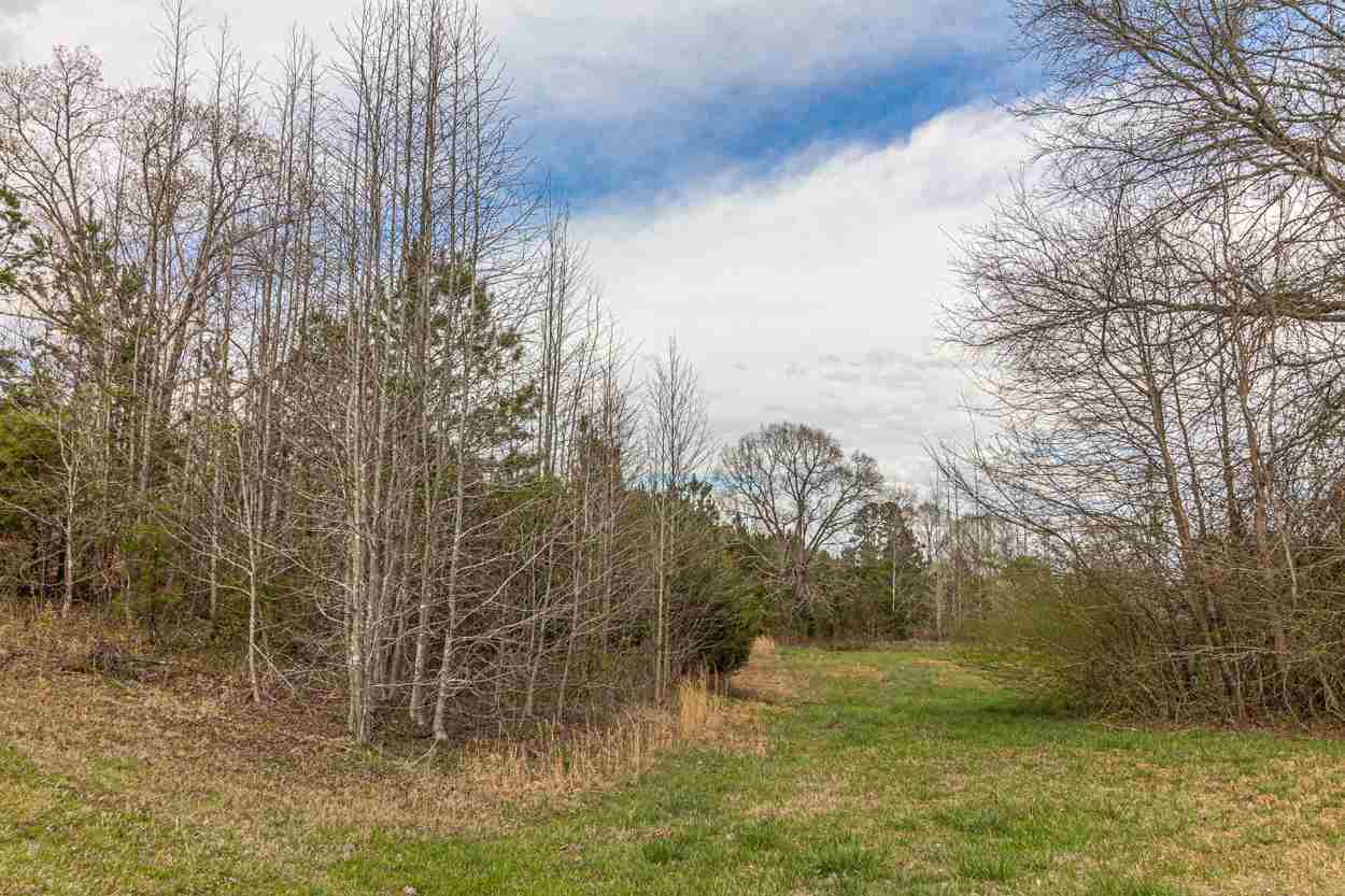 0 Sulphur Springs Road Selmer, TN 38375 - Photo 11 of 16
