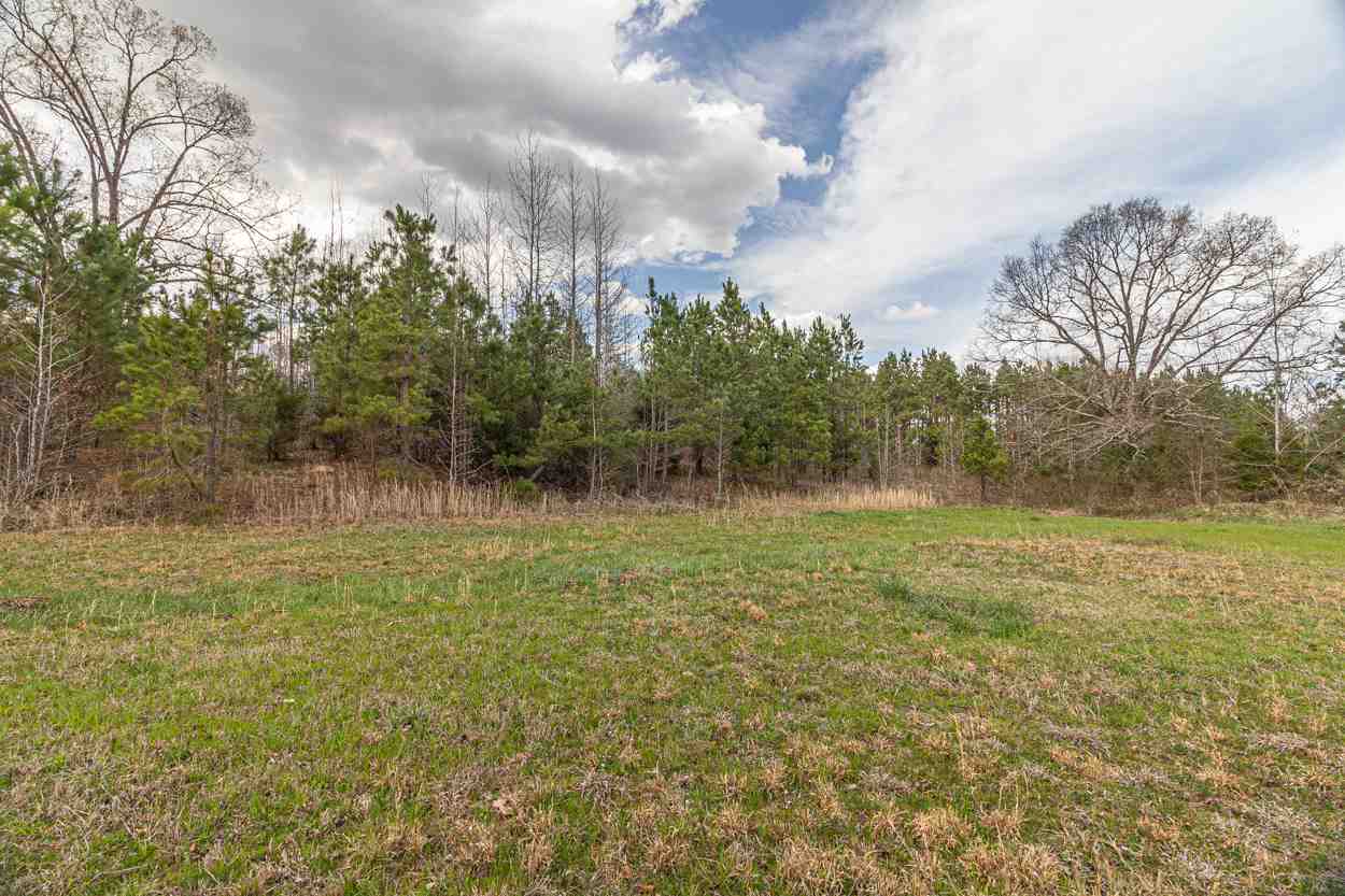 0 Sulphur Springs Road Selmer, TN 38375 - Photo 12 of 16