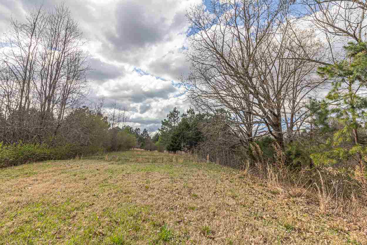 0 Sulphur Springs Road Selmer, TN 38375 - Photo 13 of 16