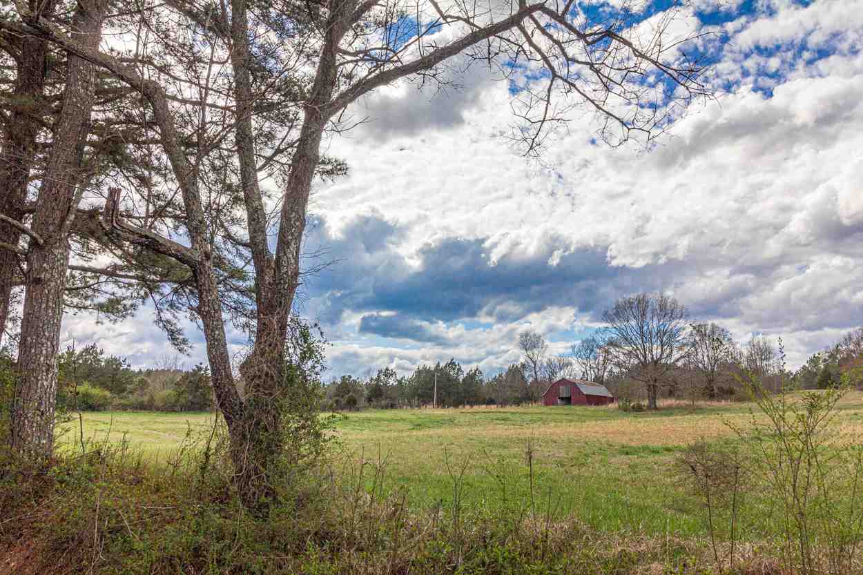 0 Sulphur Springs Road Selmer, TN 38375 - Photo 14 of 16