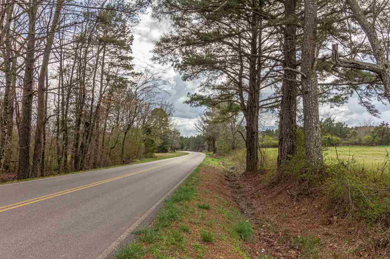 0 Sulphur Springs Road Selmer, TN 38375 - Photo 15 of 16