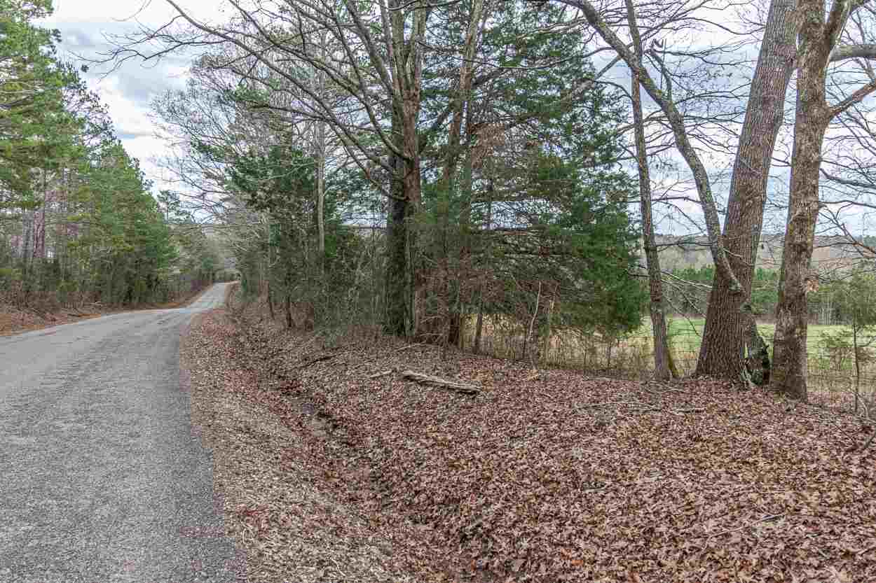 0 Sulphur Springs Road Selmer, TN 38375 - Photo 16 of 16
