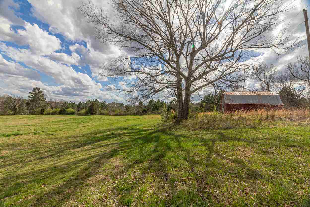 0 Sulphur Springs Road Selmer, TN 38375 - Photo 3 of 16
