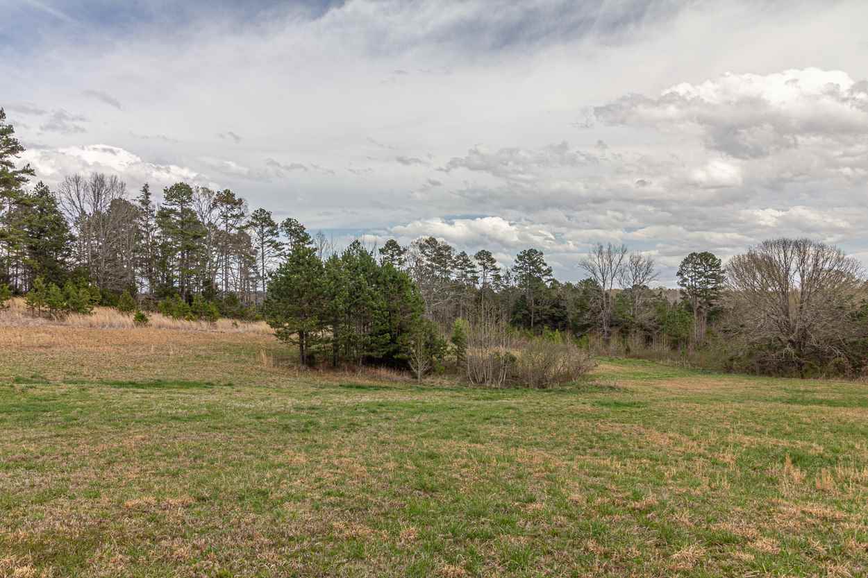 0 Sulphur Springs Road Selmer, TN 38375 - Photo 6 of 16