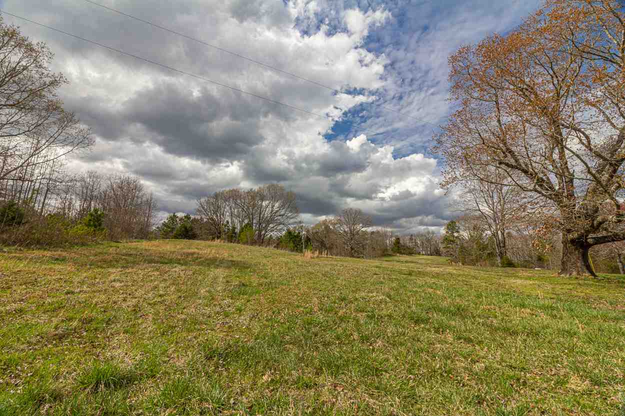 0 Sulphur Springs Road Selmer, TN 38375 - Photo 8 of 16