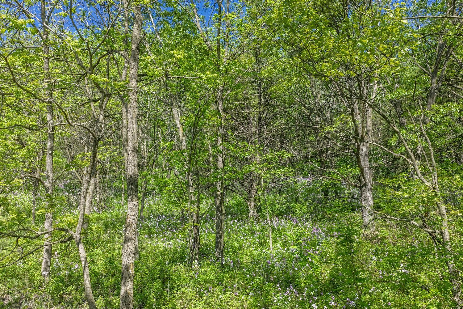 N2301 Cactus Acres Lodi, WI 53555 - Photo 15 of 17