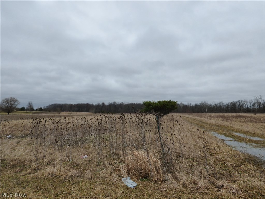 Hawley Road Wellington, OH 44090 - Photo 2 of 20 Gallery Image 2