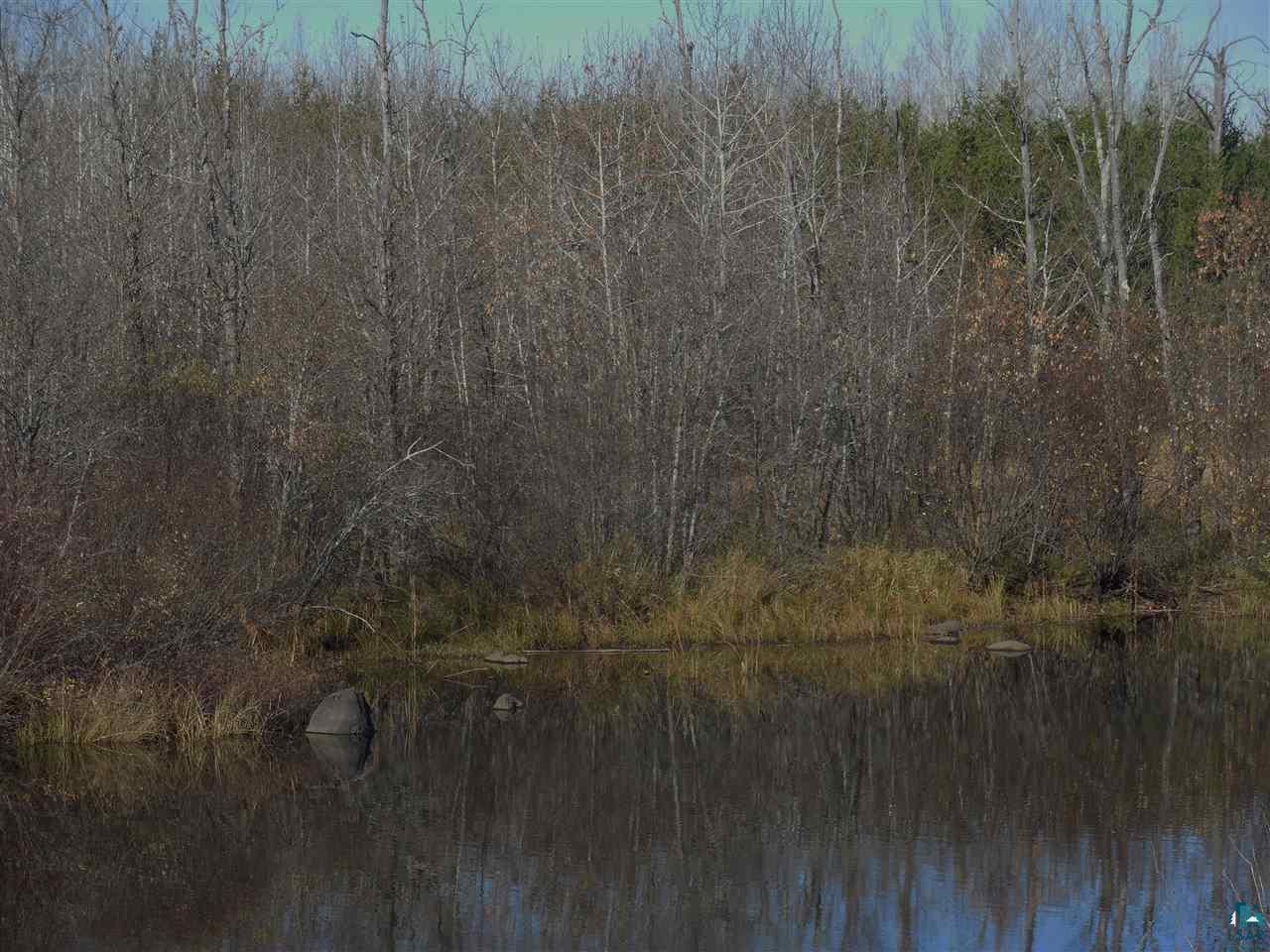 Xxx West Saari Road Embarrass, MN 55732 - Photo 3 of 7