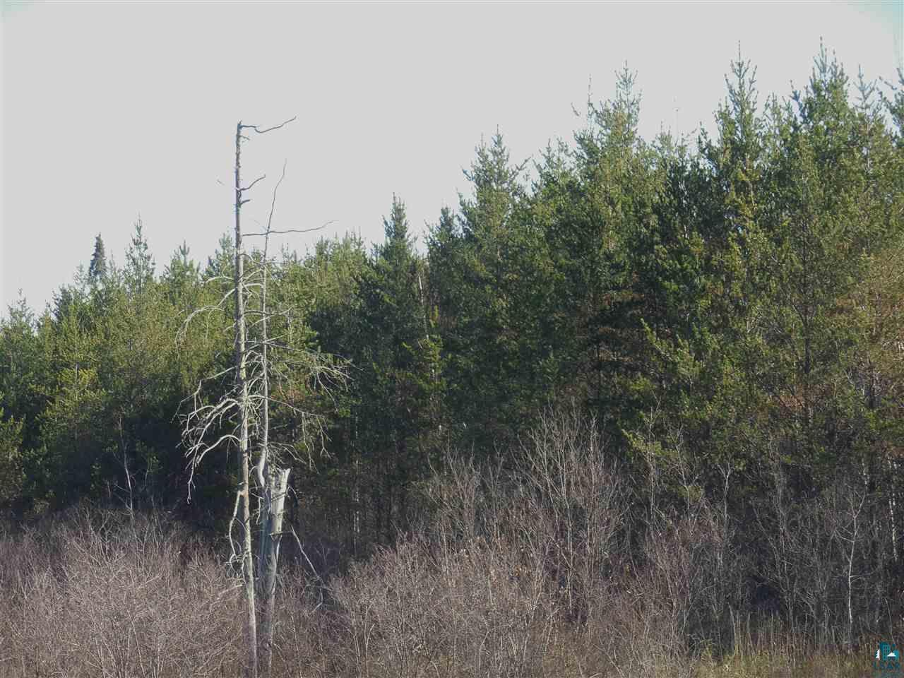 Xxx West Saari Road Embarrass, MN 55732 - Photo 4 of 7