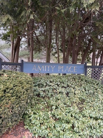 60 Amity Place, Unit 60 Amherst, MA 01002 - Photo 2 of 42