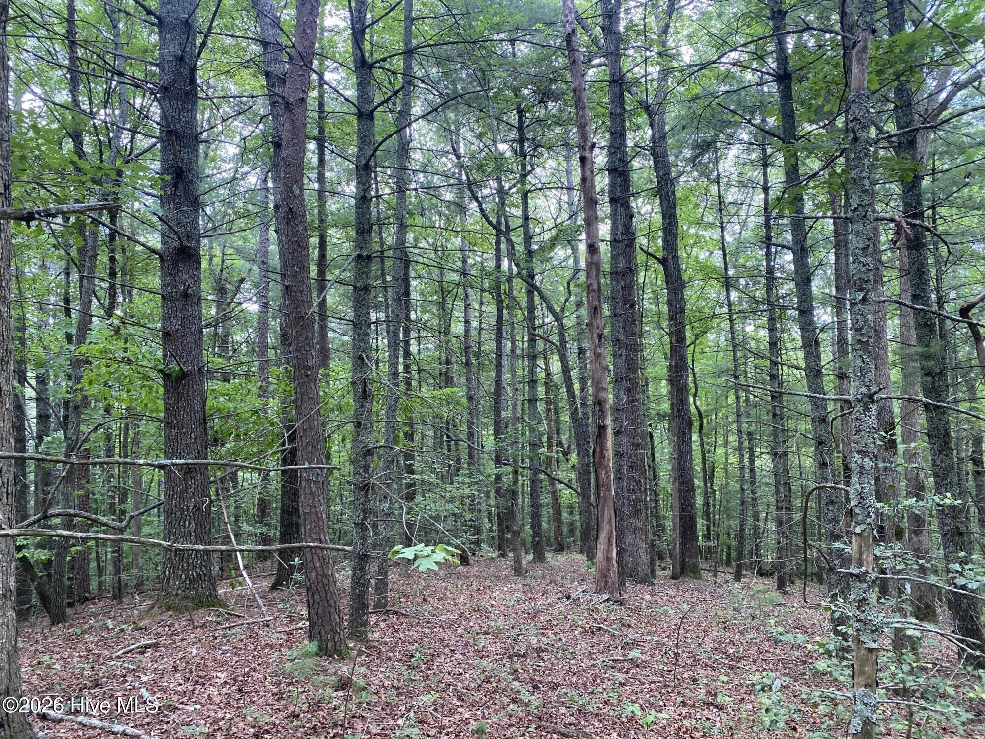 2340 Candy Mountain Road Murphy, NC 28906 - Photo 6 of 8