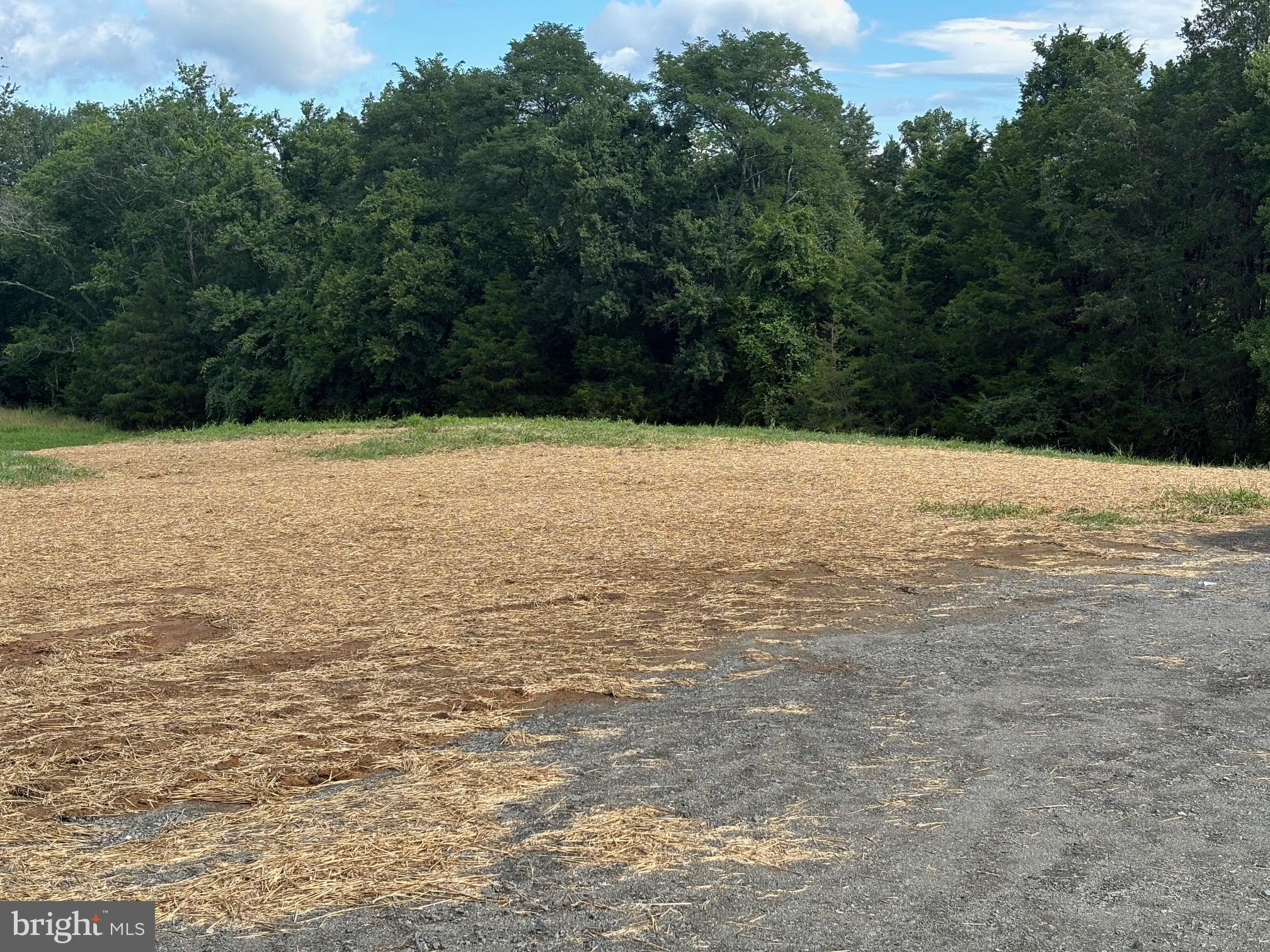 19265 Nelda Lane Culpeper, VA 22701 - Photo 16 of 18 Cleared lot