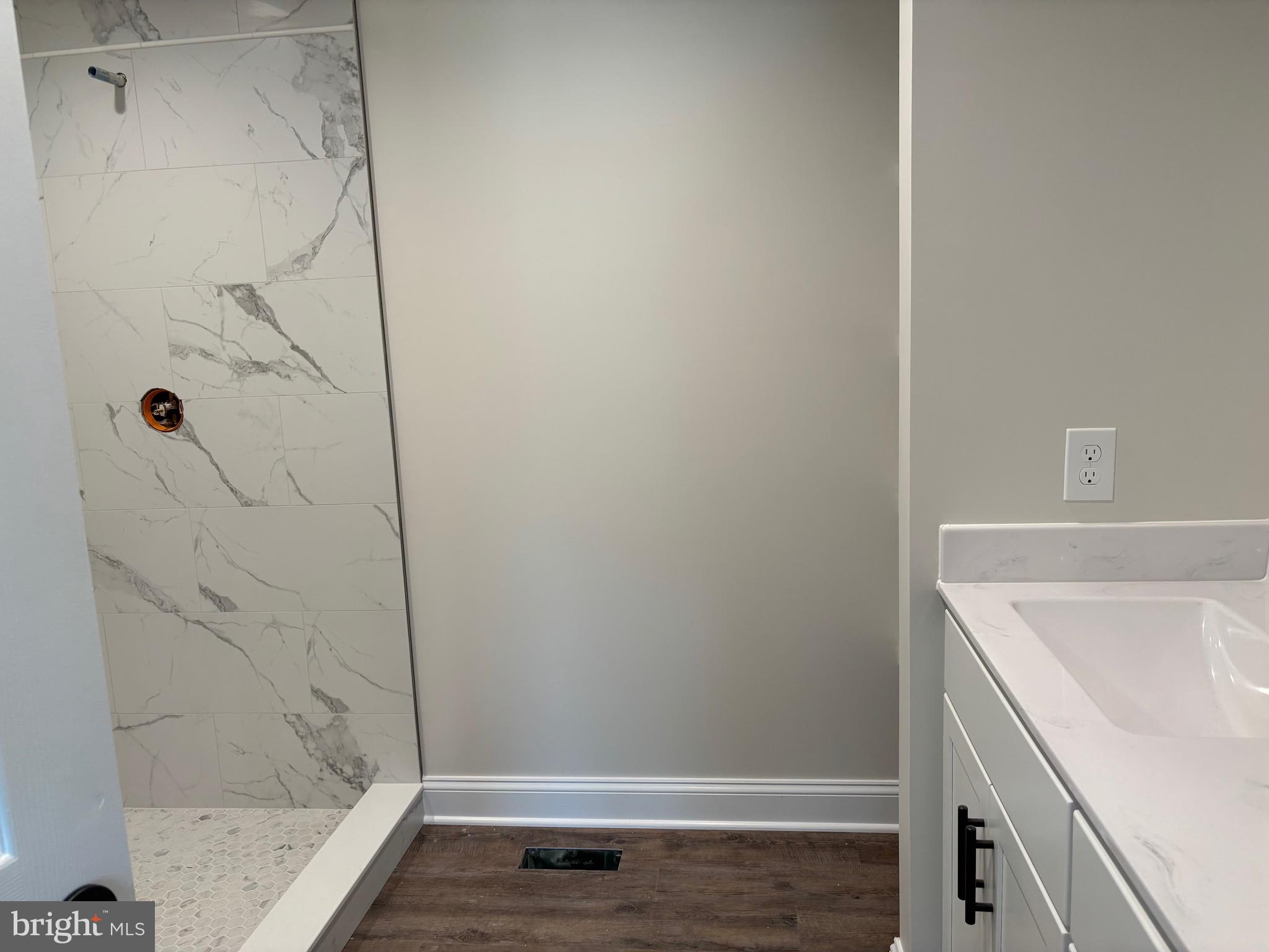 19265 Nelda Lane Culpeper, VA 22701 - Photo 8 of 18 Main BA - glass shower surround-custom tile-2 sink