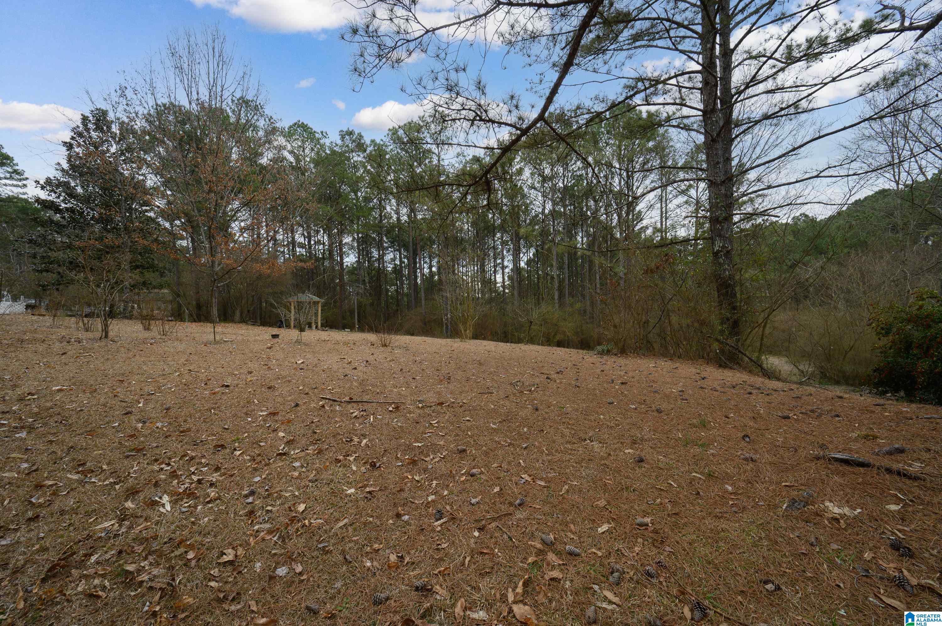 355 Whitlow Road Sumiton, AL 35148 - Photo 47 of 58
