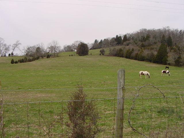 741 Rock Bridge Road Bethpage, TN 37022 - Photo 1 of 2