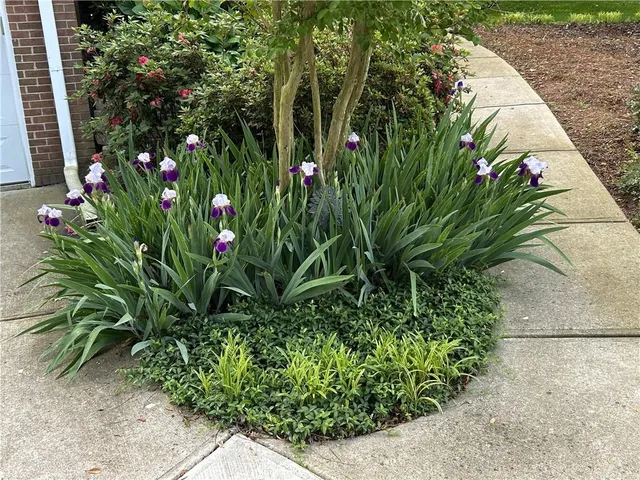 $650,000 | 1656 Barn Swallow Place, Marietta, GA 30062