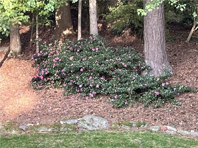 $650,000 | 1656 Barn Swallow Place, Marietta, GA 30062