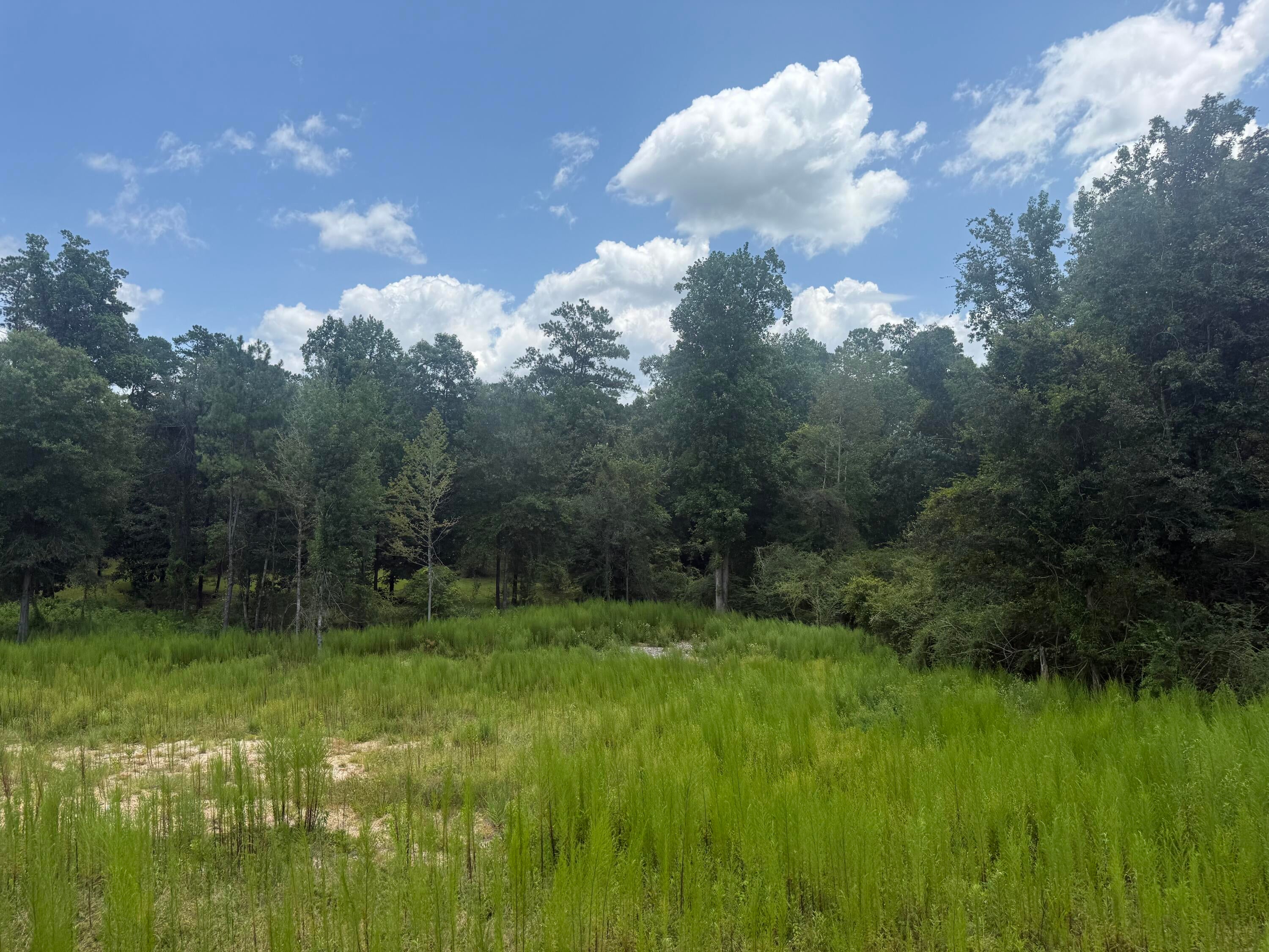 88 Pine Ridge Road Columbia, MS 39429 - Photo 11 of 12 Gallery Image 11