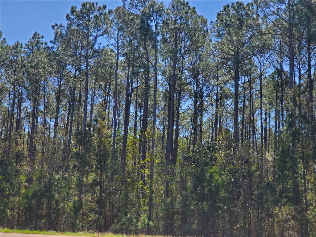 0 Fremaux Avenue Slidell, LA 70461 - Photo 18 of 19
