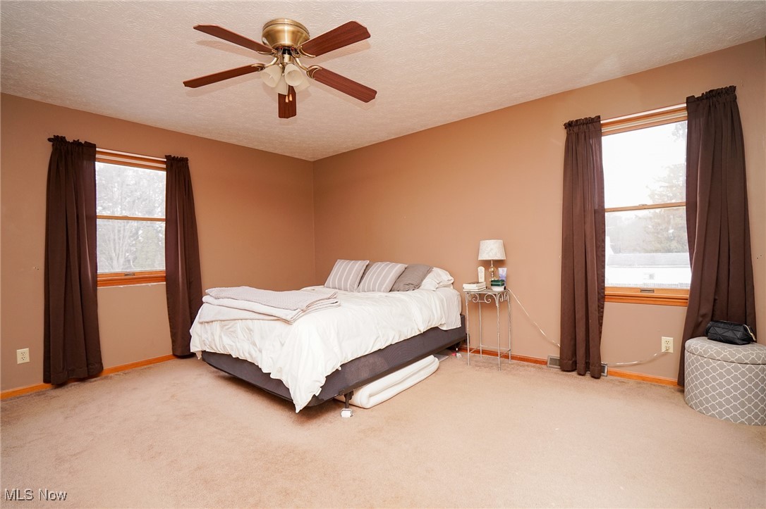8651 King Graves Road Northeast Warren, OH 44484 - Photo 17 of 24 Carpeted bedroom featuring ceiling fan, a textured ceiling, and multiple windows