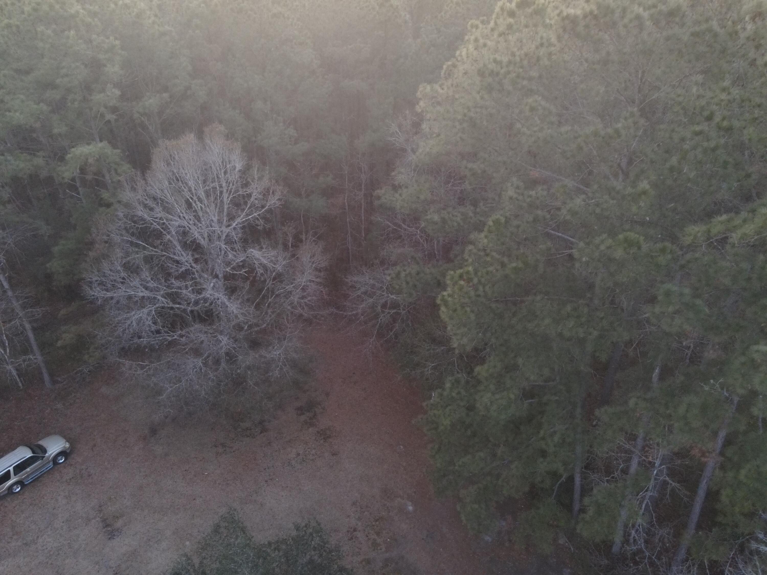 0 Jones Road, Unit LOT 1 & 2 Awendaw, SC 29429 - Photo 2 of 7 dji_fly_20260209_181042_512_177067866781