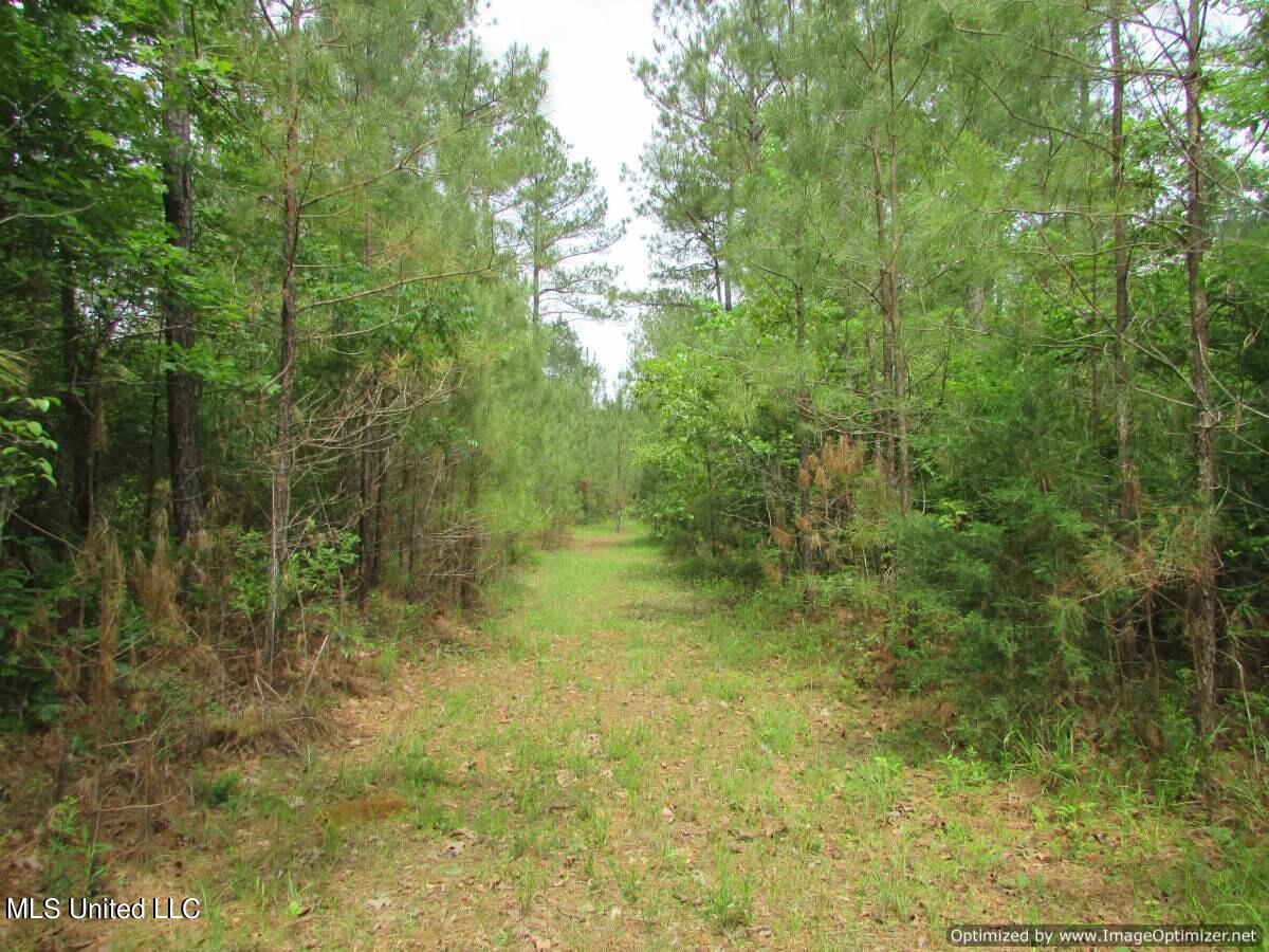 Lot 2 Permenter Road Canton, MS 39046 - Photo 11 of 17 IMG_0011