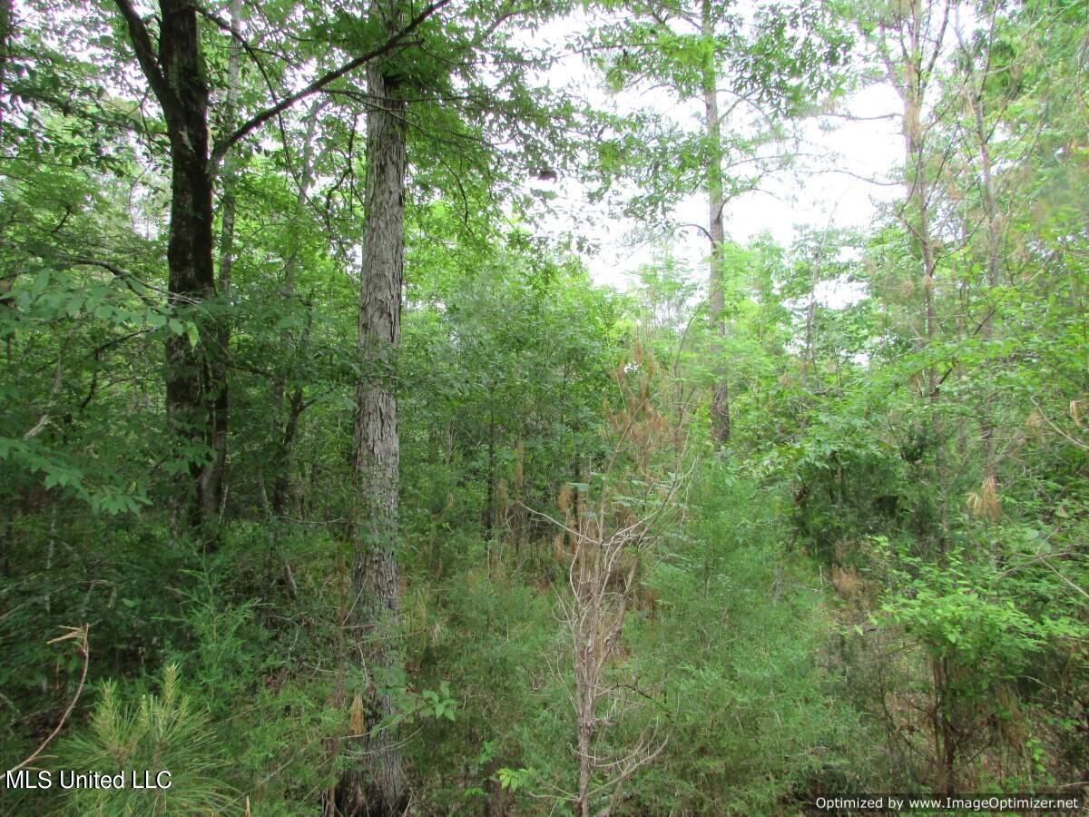 Lot 2 Permenter Road Canton, MS 39046 - Photo 12 of 17 IMG_0012