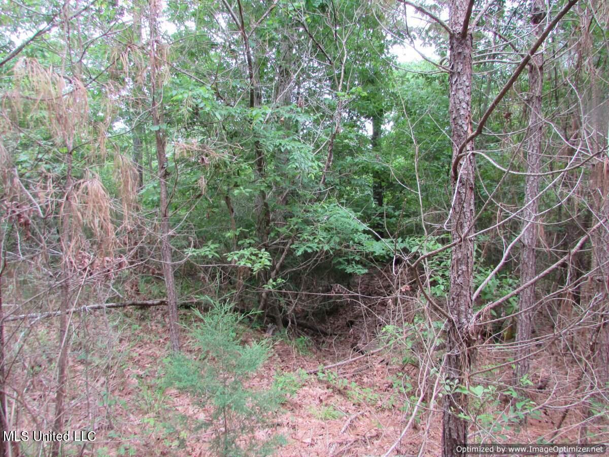 Lot 2 Permenter Road Canton, MS 39046 - Photo 13 of 17 IMG_0013