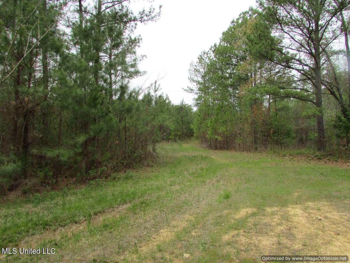 Lot 2 Permenter Road Canton, MS 39046 - Photo 16 of 17 IMG_0025